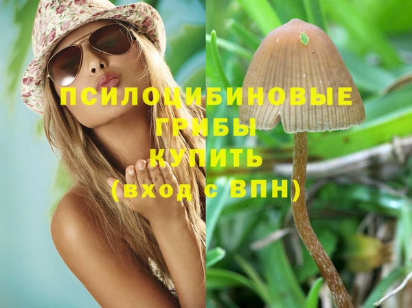 ешки Зерноград