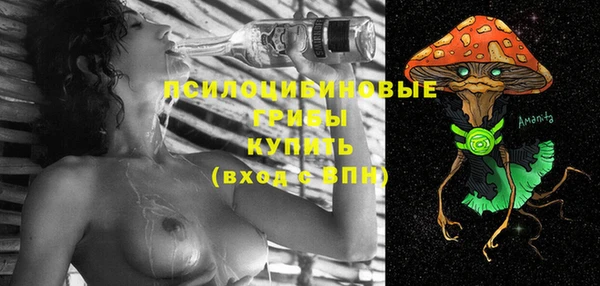 ешки Зерноград
