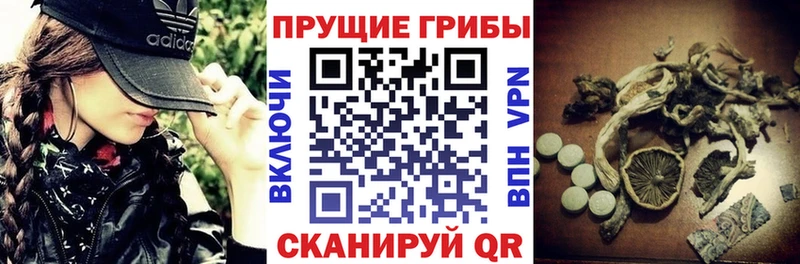 Псилоцибиновые грибы мухоморы Заречный